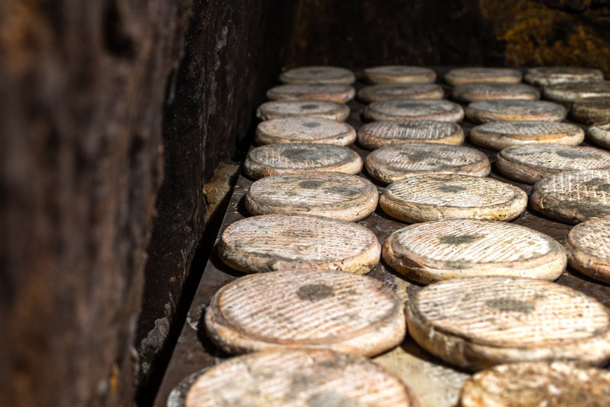 La Maison du Fromage - Fromagerie