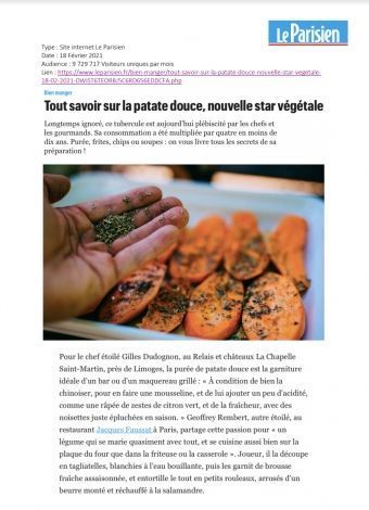 press article